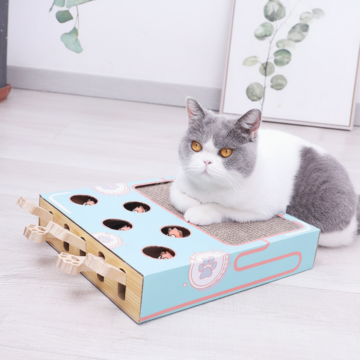 Cat Scratcher Puzzle Box Interactive Toy Scratching Board
