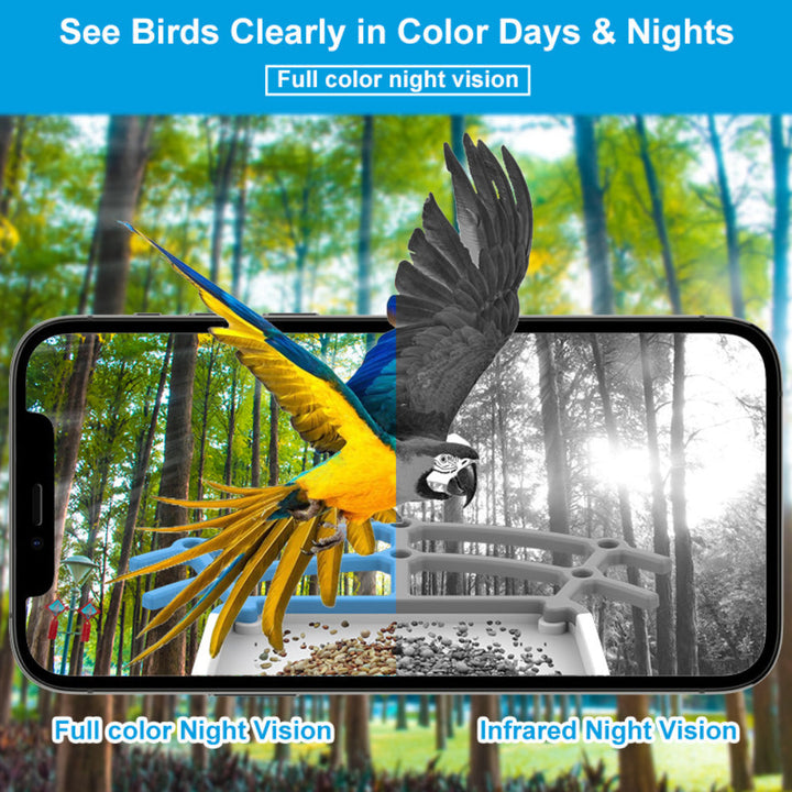 Bird Feeder Camera Outdoor Solar Roof Smart Video Device
