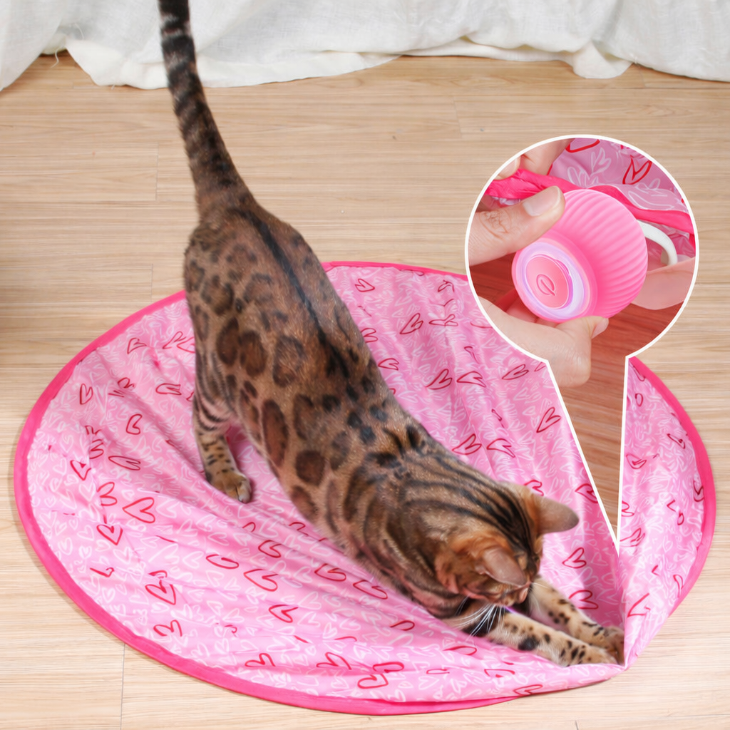 Cat Toy Interactive Rolling Smart Ball Indoor Play