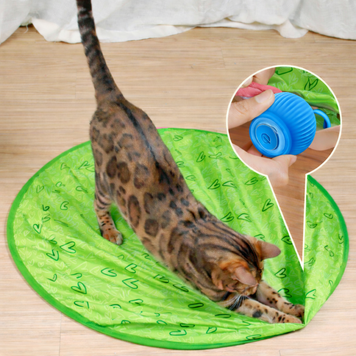 Cat Toy Interactive Rolling Smart Ball Indoor Play