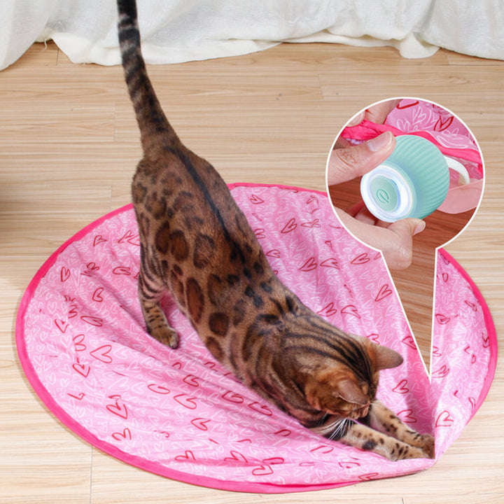 Cat Toy Interactive Rolling Smart Ball Indoor Play