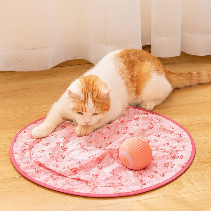 Cat Toy Interactive Play Mat Chase Ball Set