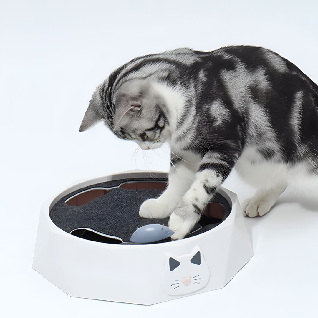 Cat Toy Scratch Pad Interactive Mouse Activity Center