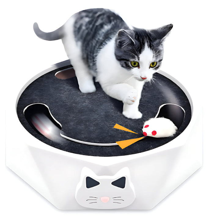 Cat Toy Scratch Pad Interactive Mouse Activity Center