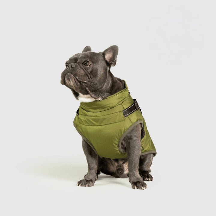 Dog Jacket Winter Outdoor Pet Coat