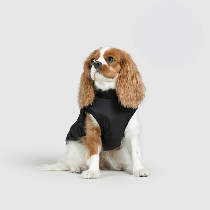 Dog Jacket Winter Outdoor Pet Coat
