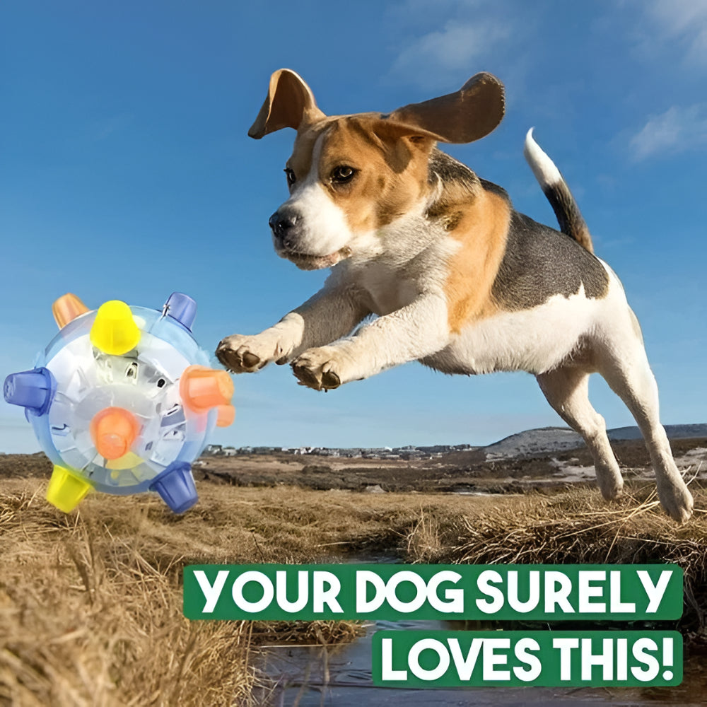 Dog Toy LED Bouncing Interactive Plastic Rubber Jumping Ball