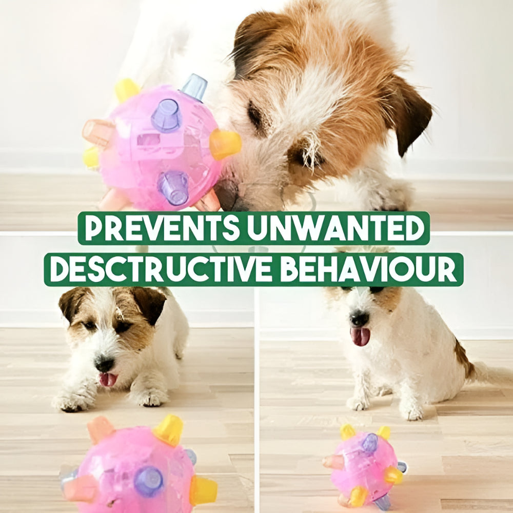 Dog Toy LED Bouncing Interactive Plastic Rubber Jumping Ball