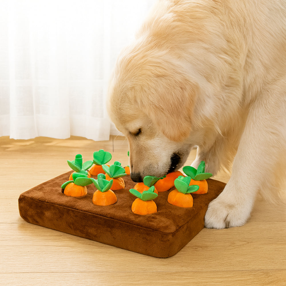 Dog Toy Snuffle Mat Interactive Treat Forage Design