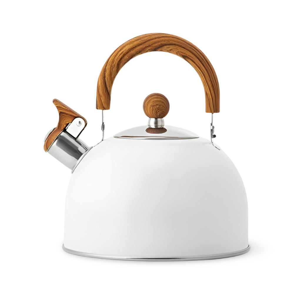 Tea Kettle Whistling Stainless Steel Stovetop Kettle