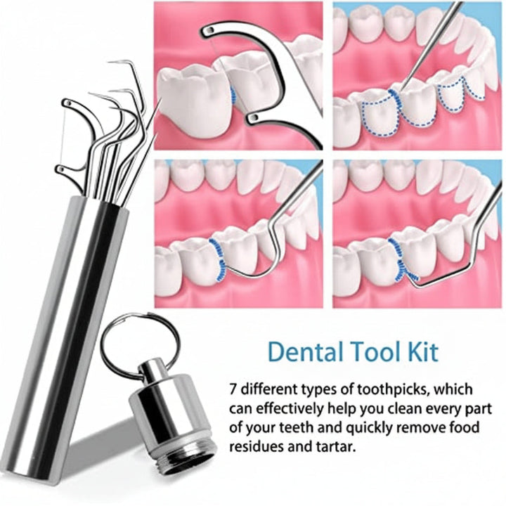 Toothpick Set Reusable Metal Toothpicks Travel Case