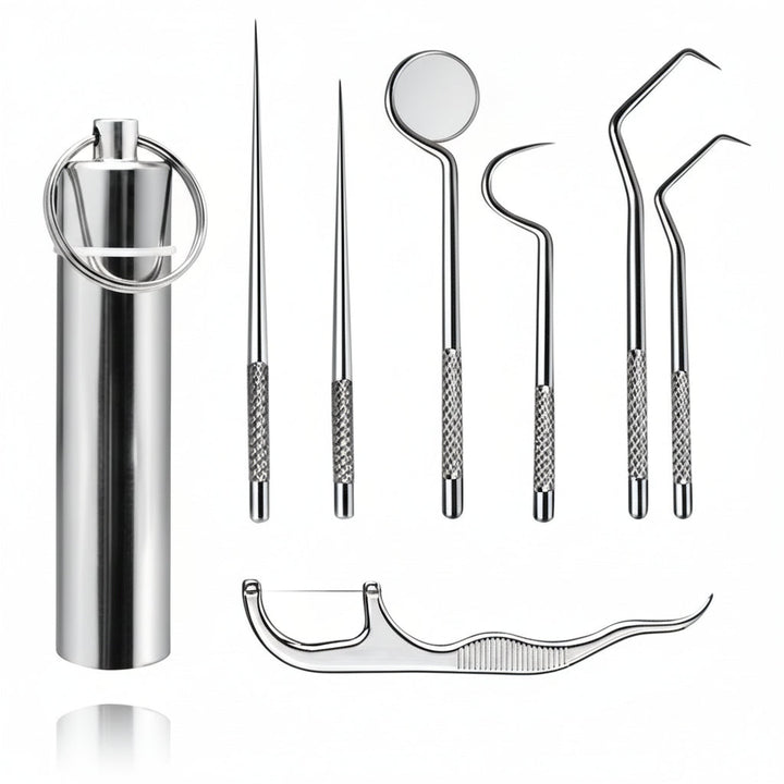 Toothpick Set Reusable Metal Toothpicks Travel Case