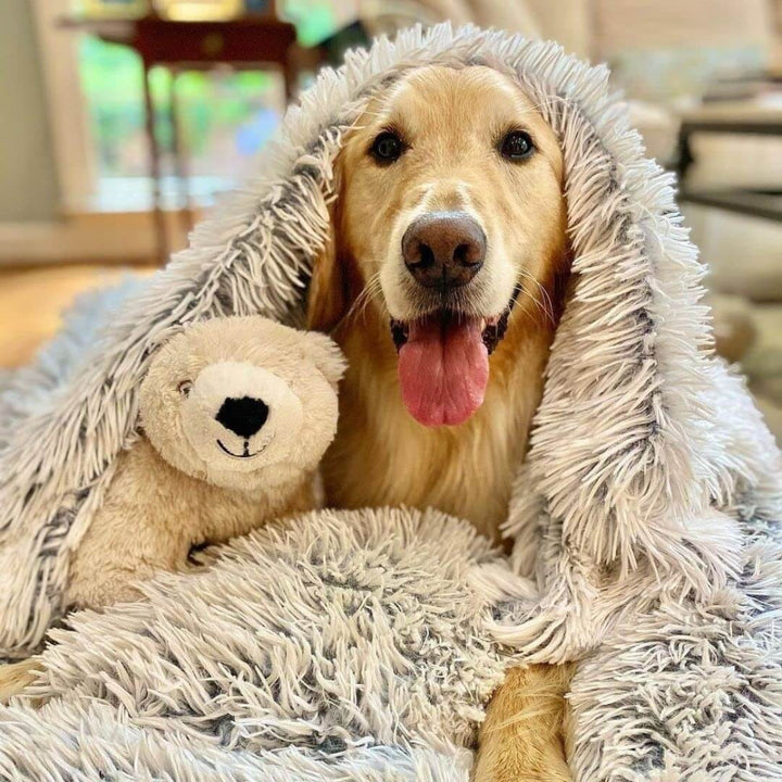 Anxiety Relieving Fluffy Soft Pet Blanket Cozy Design