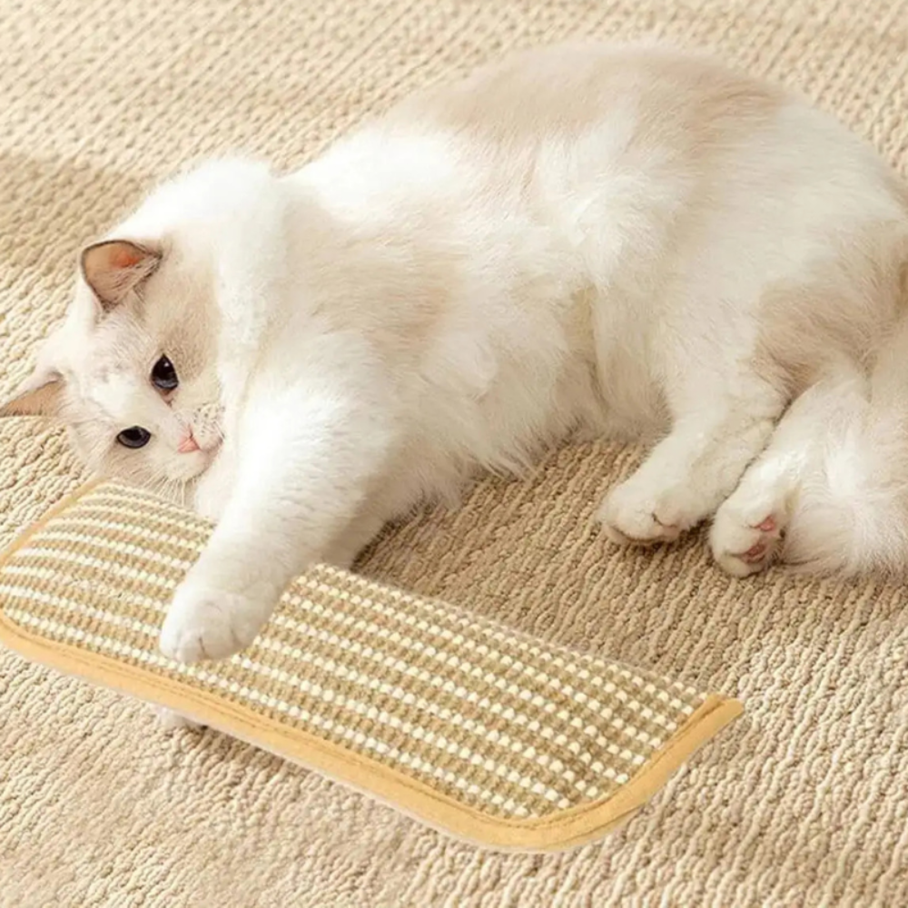 Cat Scratching Pillow Durable Scratching Surface Soft Cat Pillow
