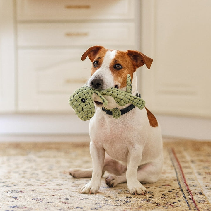 Chew Toy Interactive Dog Toy Durable Indestructible