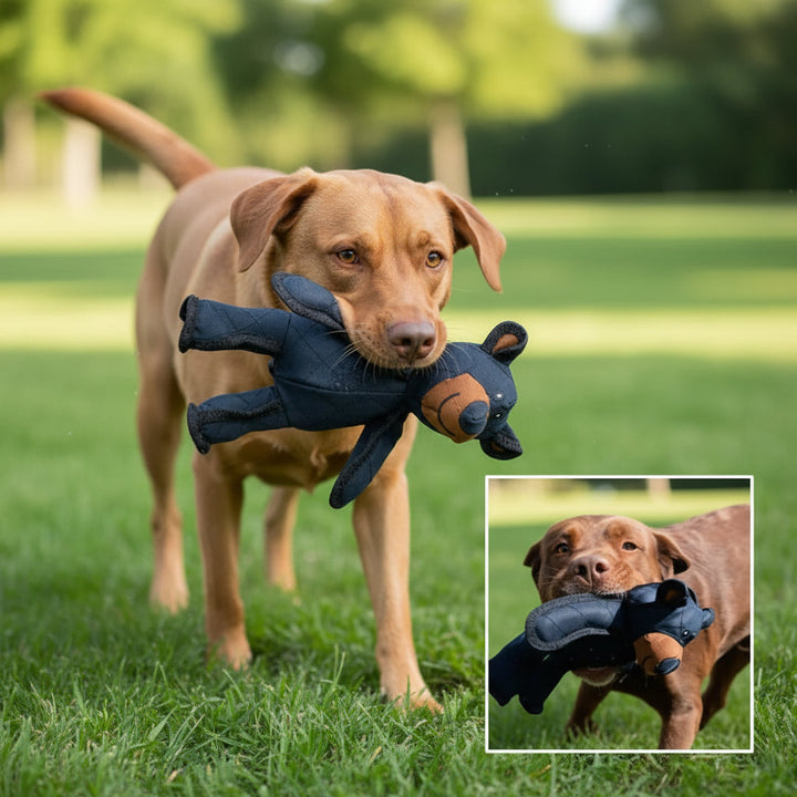 Dog Chew Toy Interactive Durable Tug Rope Chewset