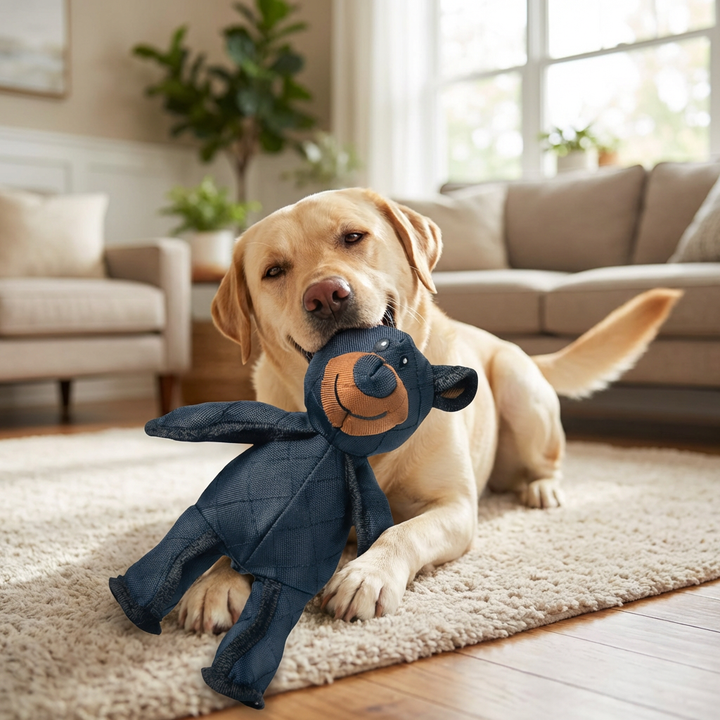 Dog Chew Toy Interactive Durable Tug Rope Chewset