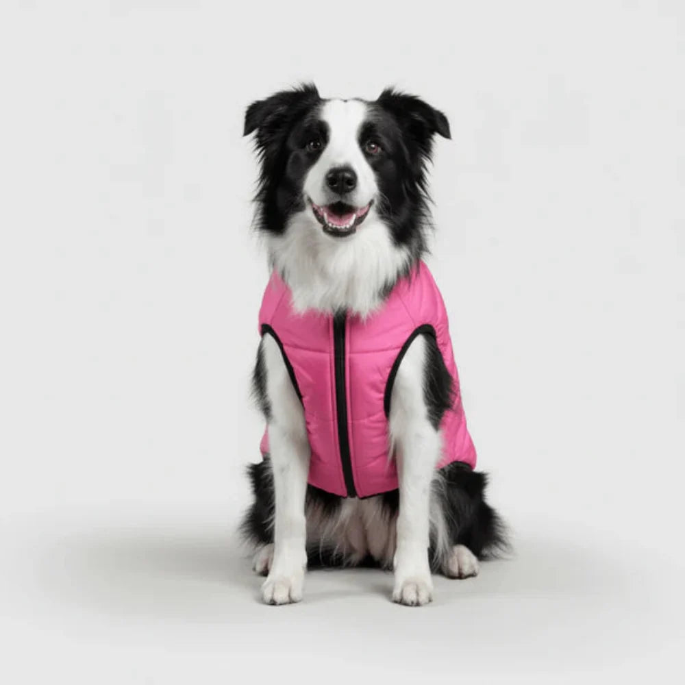 Dog Jacket Winter Outdoor Pet Coat