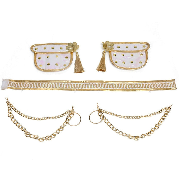 Halloween Costumes Girls Gold Dance Costume Set
