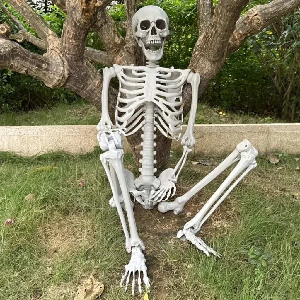 Halloween Decoration Skeleton Figure Life-Size Display