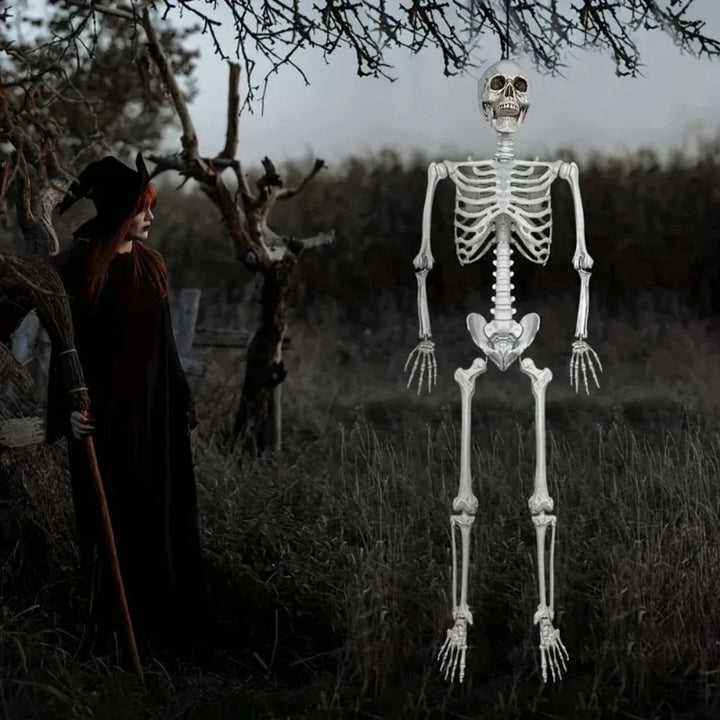 Halloween Decoration Skeleton Figure Life-Size Display