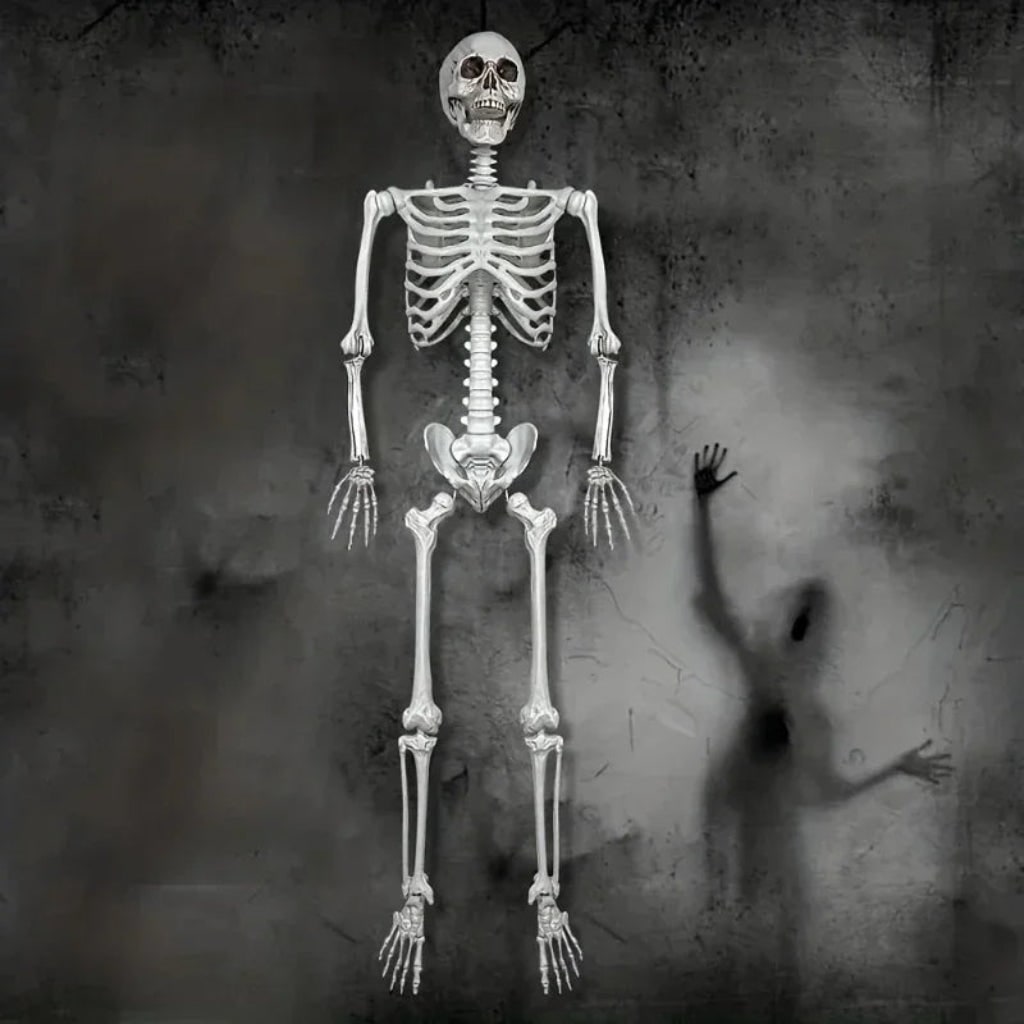 Halloween Decoration Skeleton Figure Life-Size Display