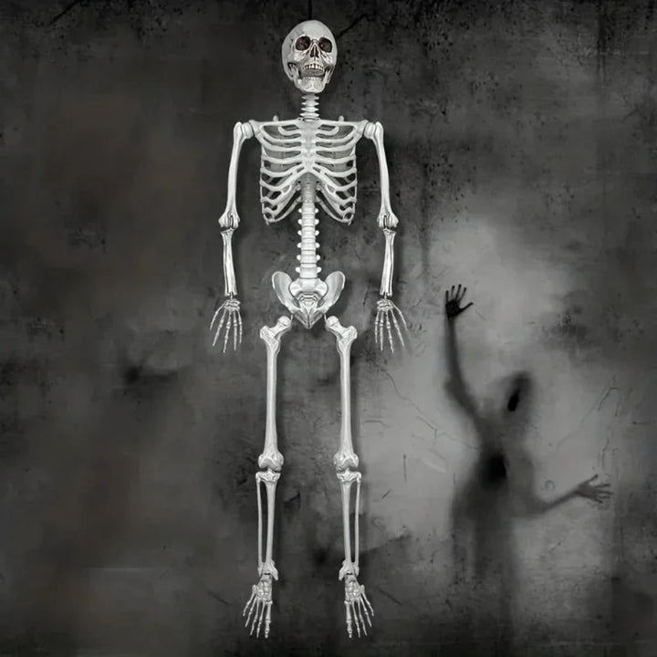 Halloween Decoration Skeleton Figure Life-Size Display