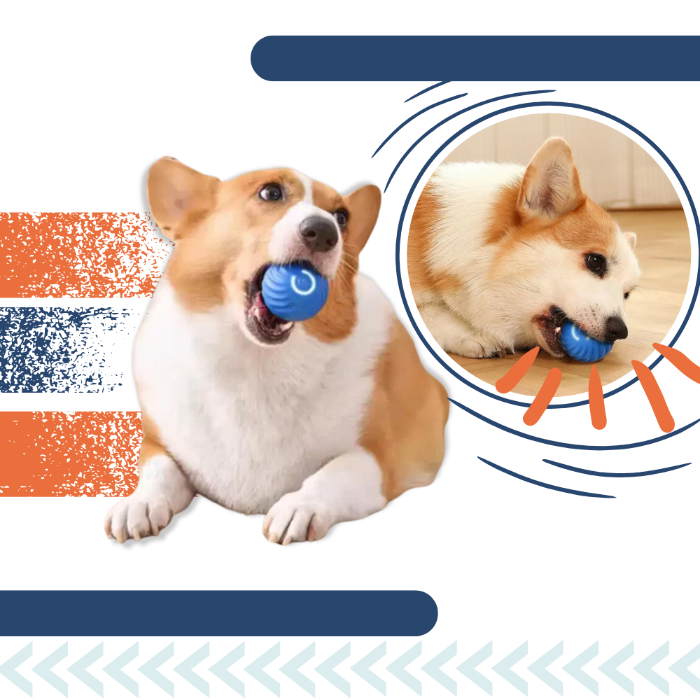 Interactive Dog Toy Durable Ball Engaging Playtime Fun