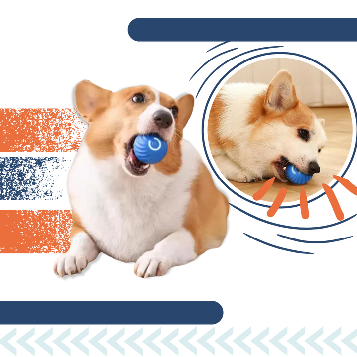 Interactive Dog Toy Durable Ball Engaging Playtime Fun