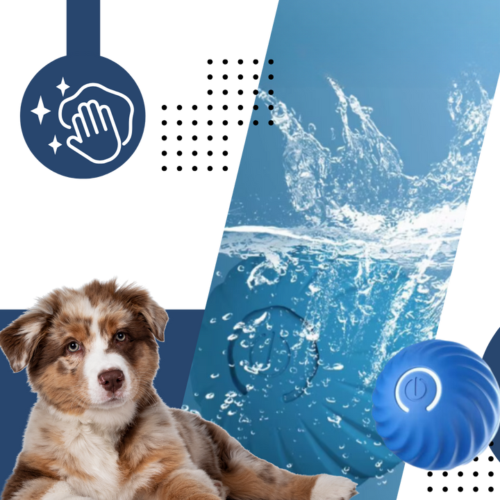 Interactive Dog Toy Durable Ball Engaging Playtime Fun