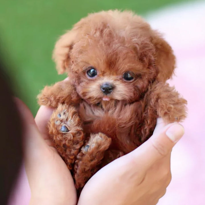 Interactive Dog Toy Robotic Puppy Lifelike Companion