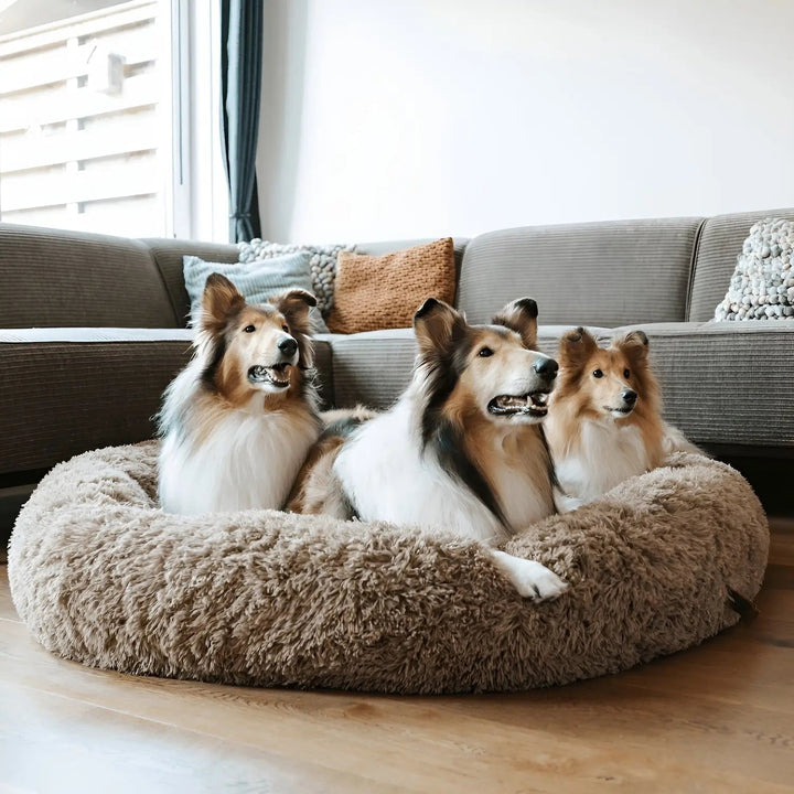 Large Dog Bed Plush Cozy Design Comfortable