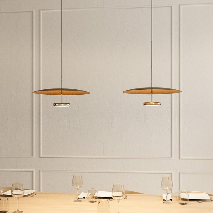 LED Ceiling Light Hanging Fixture Indirect Lighting Design