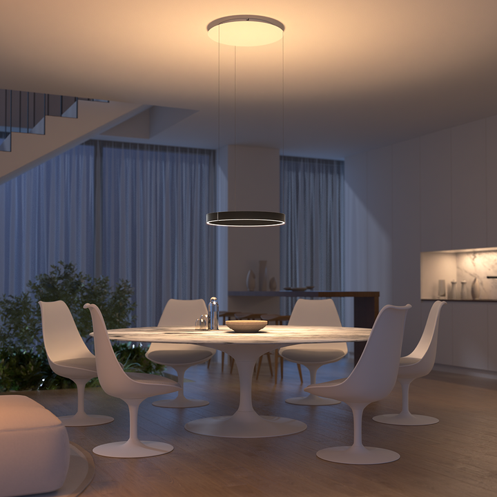 LED Lighting Flush Mount Ceiling Light Pendant