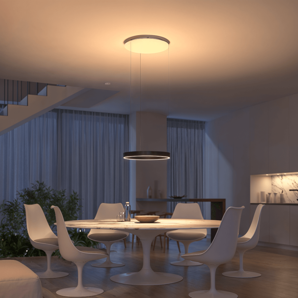 LED Lighting Flush Mount Ceiling Light Pendant