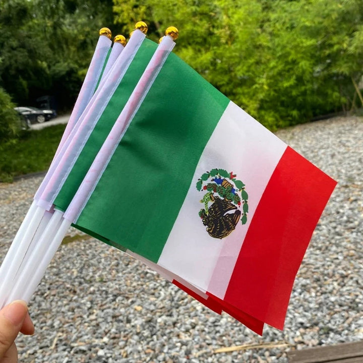Mexican Mini Flags Handheld Event Set