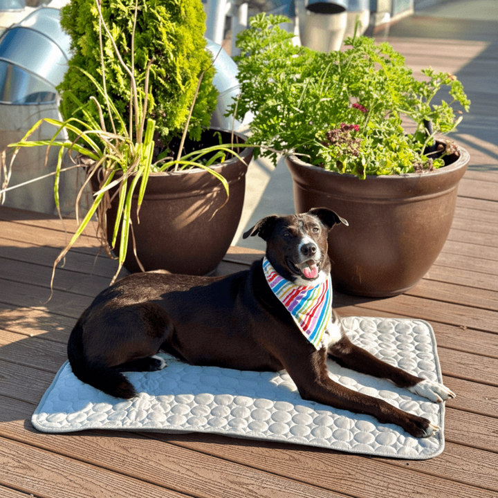 Portable Air Conditioner Cooling Mat Dogs