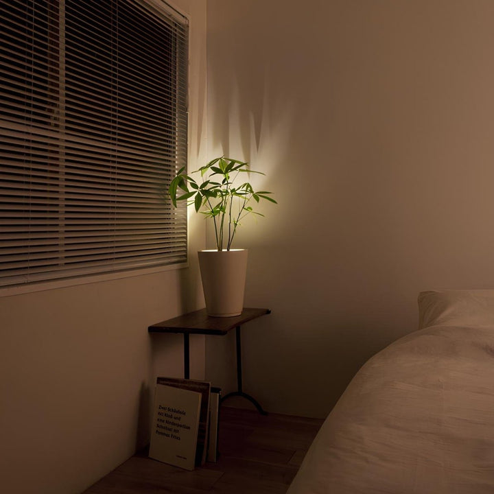 Wall Sconce Battery Operated Modern Adjustable LED Spotlight