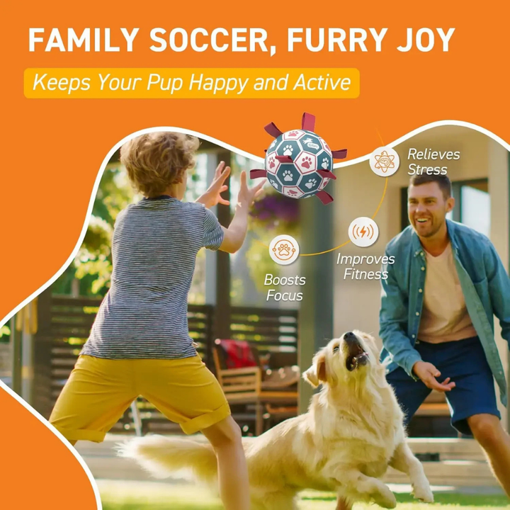 World Cup Interactive Dog Toy Durable Ball Mesh Rope Grip
